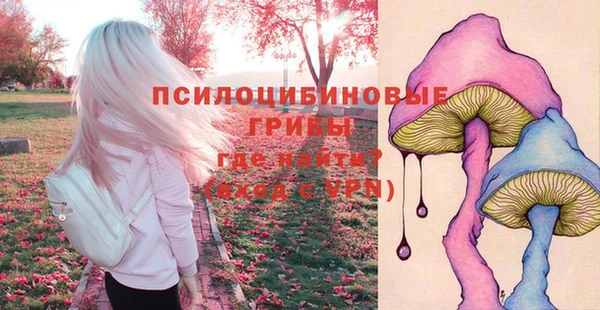гашик Наволоки