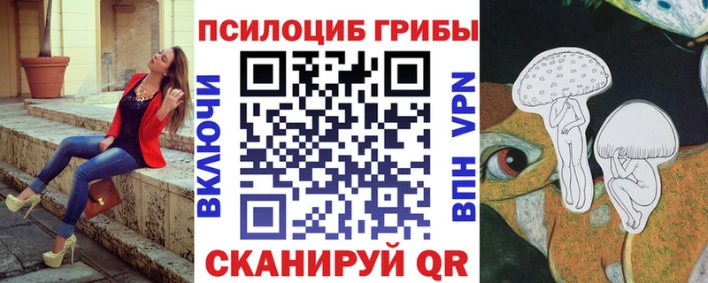 продажа наркотиков  Котельники  Псилоцибиновые грибы мицелий 
