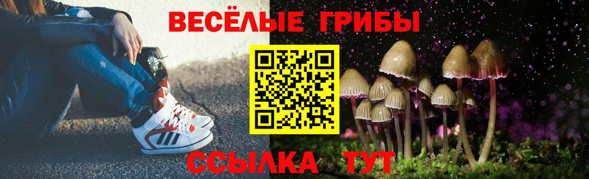 Котельники  Галлюциногенные грибы Magic Shrooms  цены наркотик  Вход с VPN 