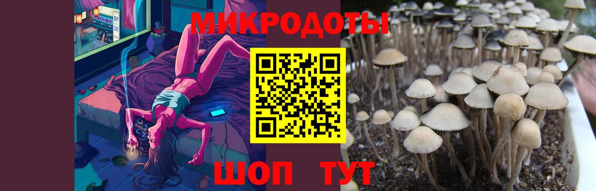 Псилоцибиновые грибы GOLDEN TEACHER  Котельники 