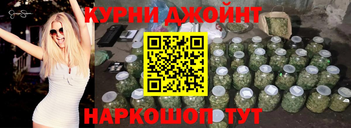 Каннабис сатива Котельники